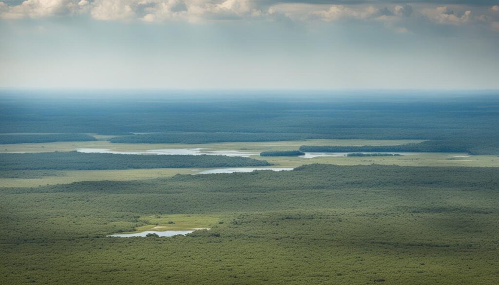 Pantanal landscape